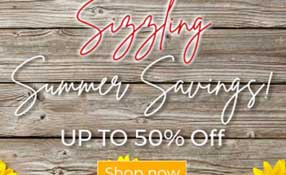 Sizzling Summer Savings Email Design by Cesar Omar Sanchez