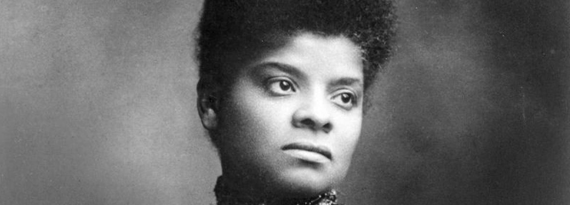 Animals roaming near a toxic environment industrial area